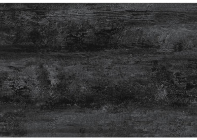 PW004 Petrified Wood Black