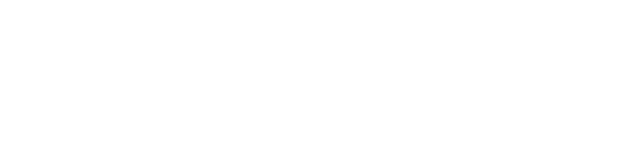 2DSGN